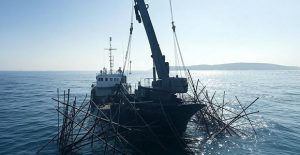 Inilah Keperluan dan Peralatan Untuk Mencabut Pagar Laut Tapi Peran Peran Pemerintah Sangat Penting dalam Hal ini